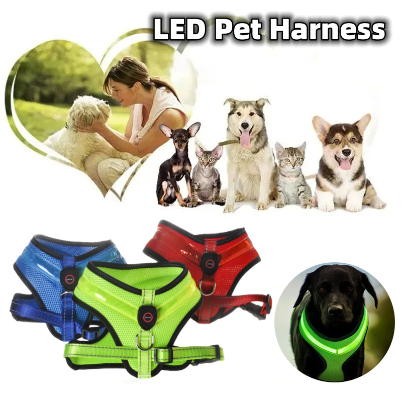 LED Light-Up Dog Harness