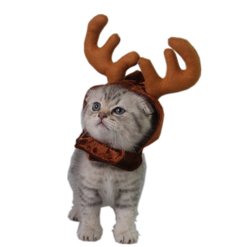 Reindeer Antlers for Cats & Dogs
