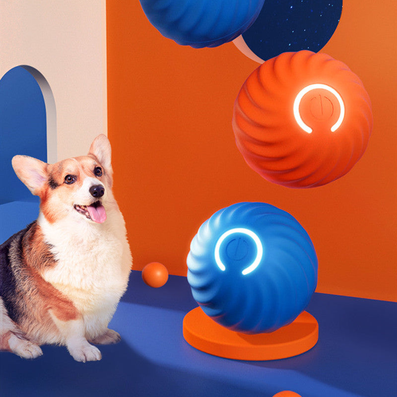 Bouncy Rubber Dog Ball – photo 10
