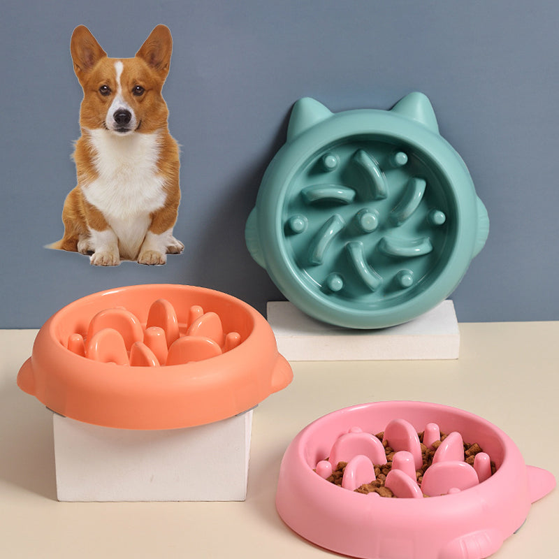 Slow Feeder Pet Bowl