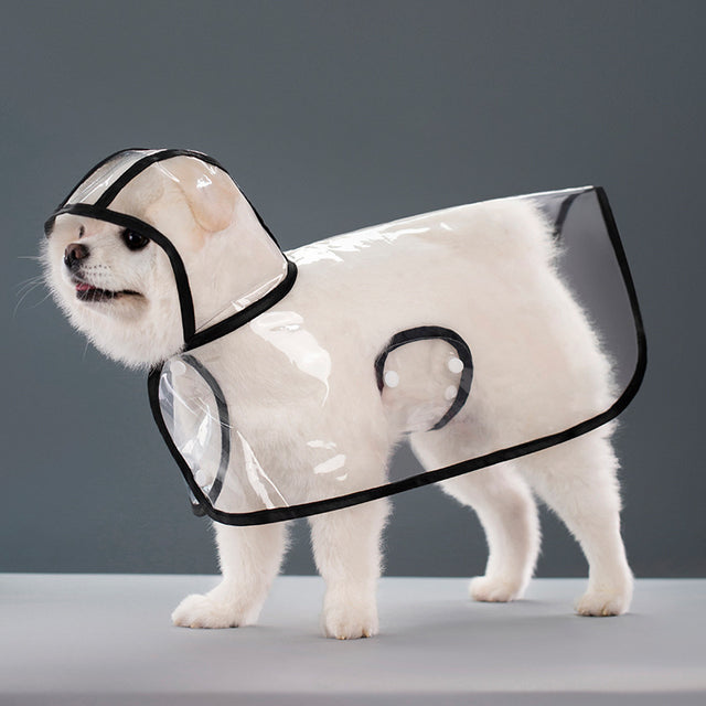 Clear Dog Raincoat