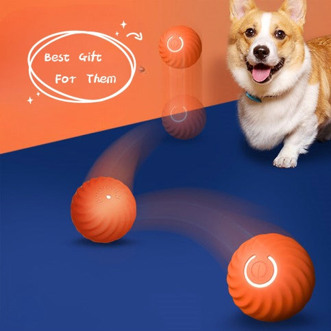 Bouncy Rubber Dog Ball