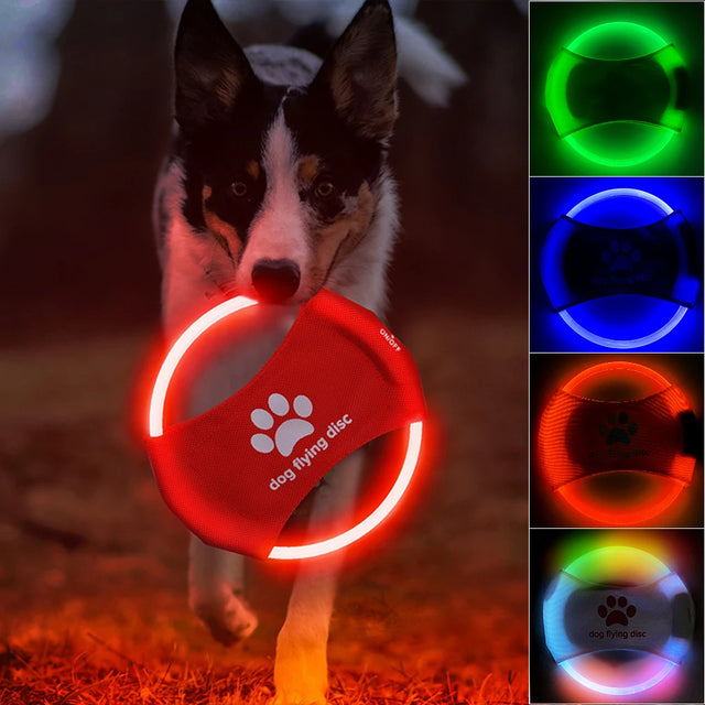 LED Light-Up Flying Disc for Dogs