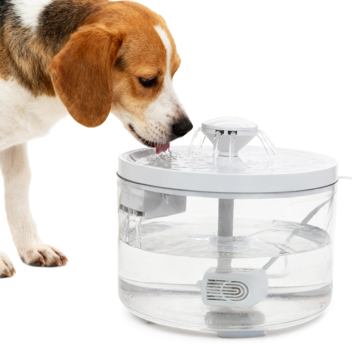 Automatic Pet Water Fountain