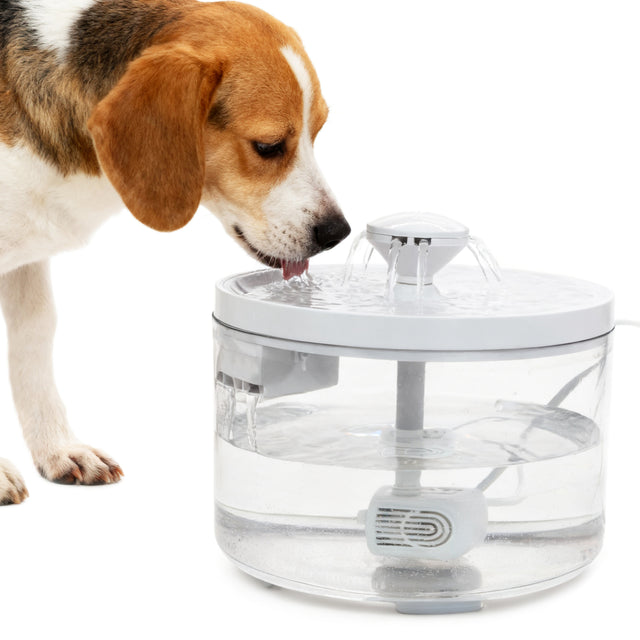 Automatic Pet Water Fountain