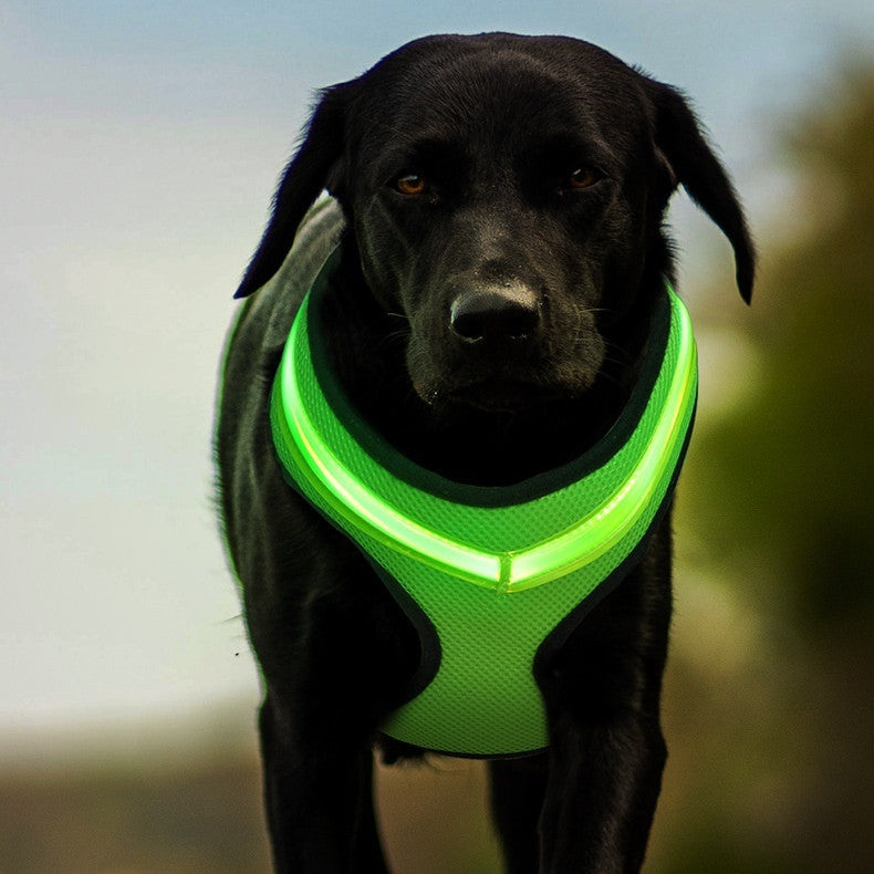 LED Light-Up Dog Harness – photo 2