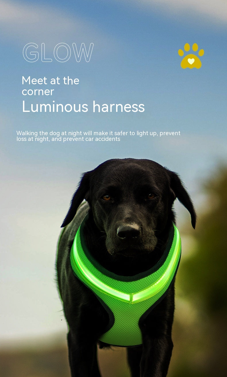 LED Light-Up Dog Harness – photo 4