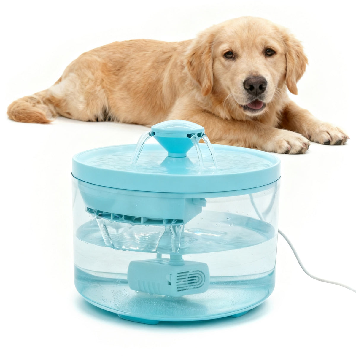 Automatic Pet Water Fountain – photo 3