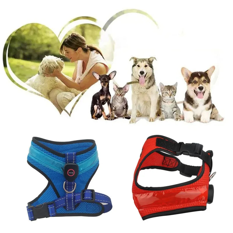 LED Light-Up Dog Harness – photo 5
